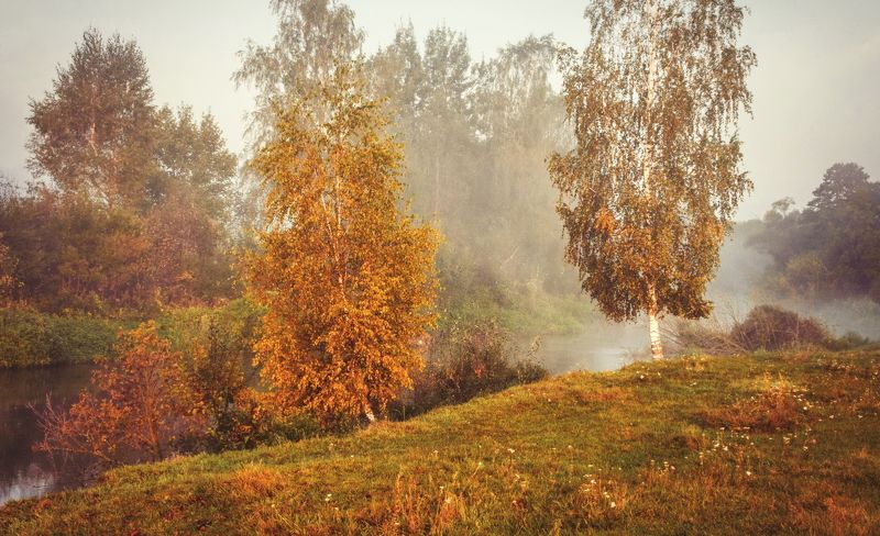 Был туман с утра рассеян фото превью
