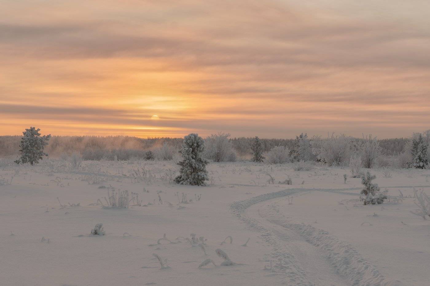 печора,коми,север,ноябрь,снег, Игорь Подобаев