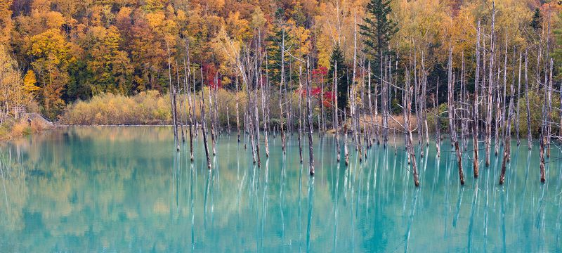 япония Осень на Голубом пруду фото превью