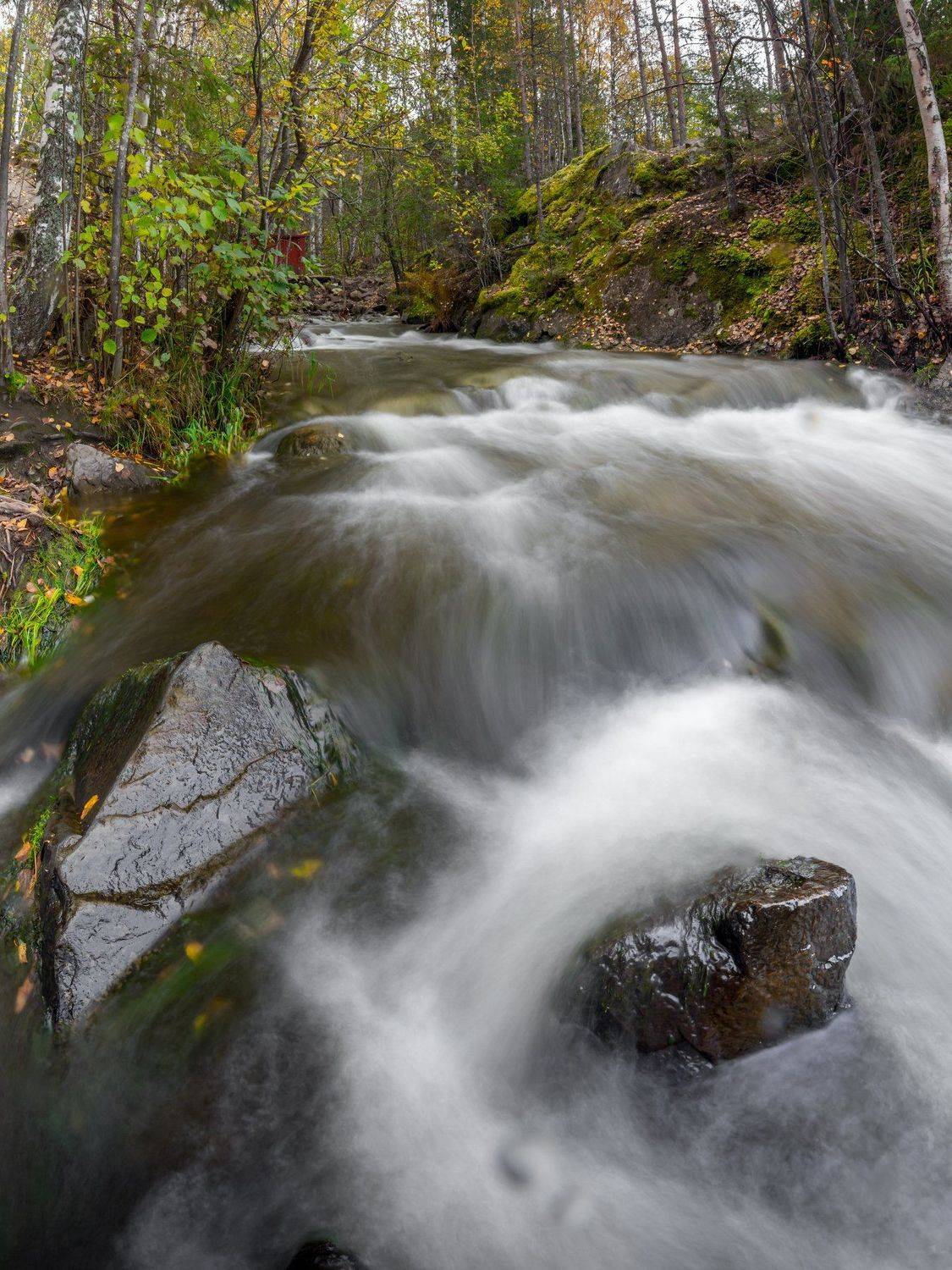 природа, карелия, осень, вода, рука, длинная выдержка, листья, Михаил Проскалов