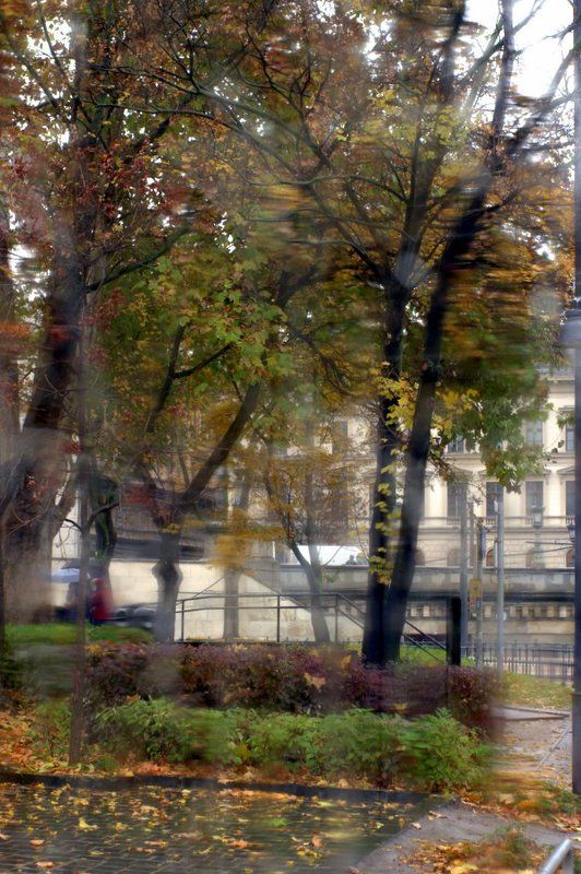 погода, осень, дождь Осенняя  фото превью