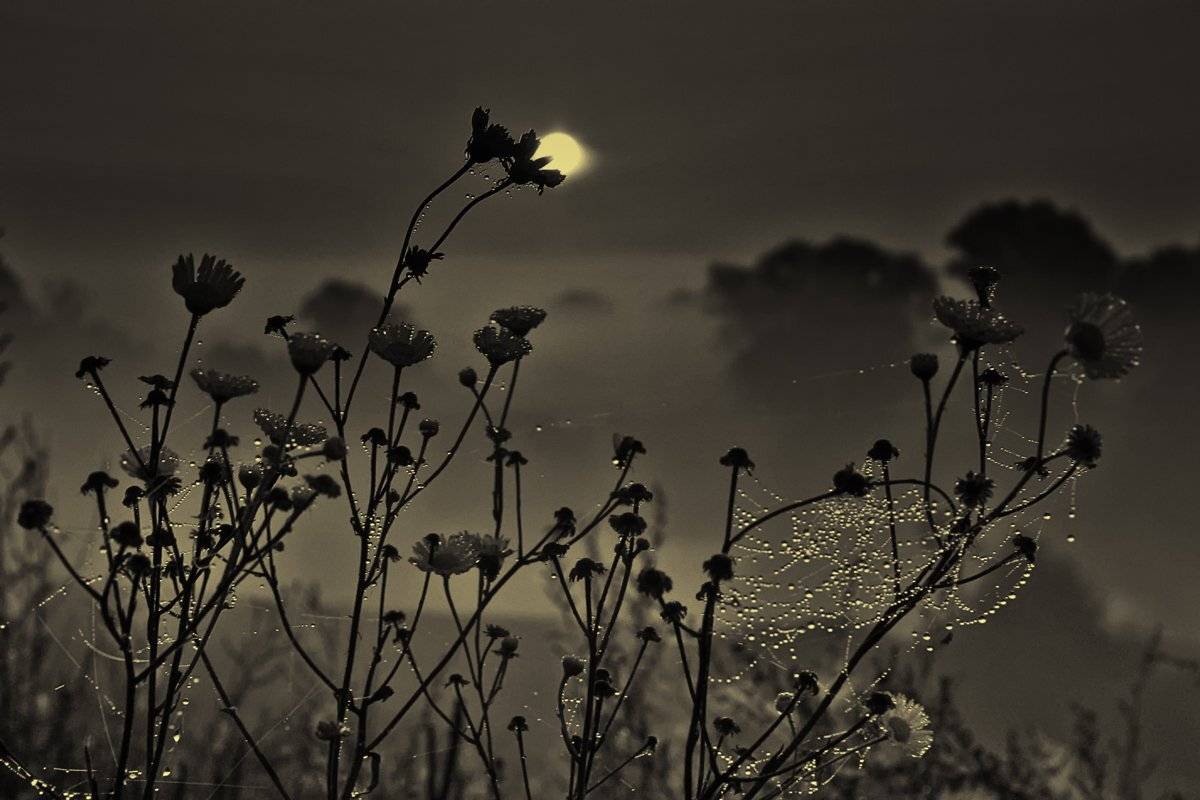 , Валерий Кондратов