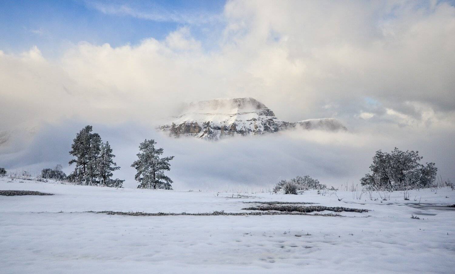 горы, снег, облака, Елена Шевченко