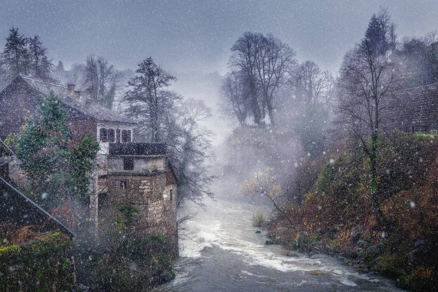 , Дмитрий Купрацевич