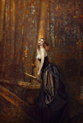 Shishkin Les