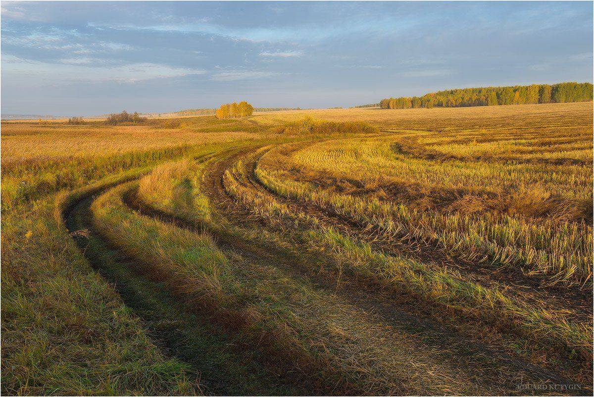 зауралье,урал,курганская,осень,рассвет,шадринский,район,шадринск,ельничная, Ельничное, Кутыгин, фотограф, Кутыгин Эдуард