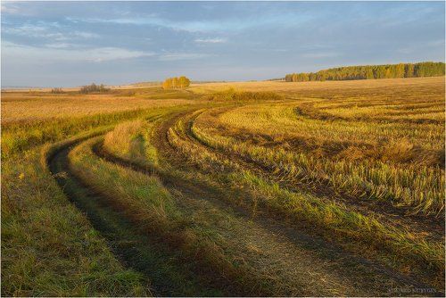 Убранное поле