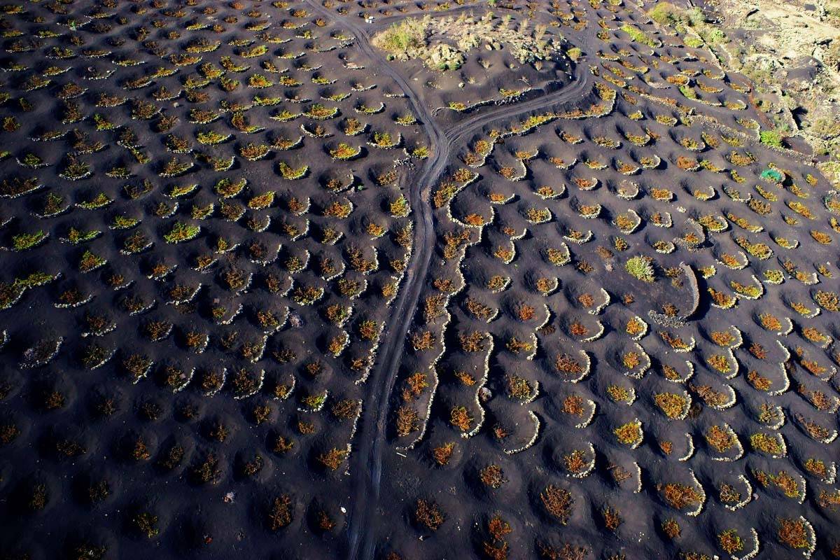 Канарские острова, Канары, Лансароте, туризм, путешествие, виноградники, аэро, aerial, Aero Geo Art, Борис Резванцев