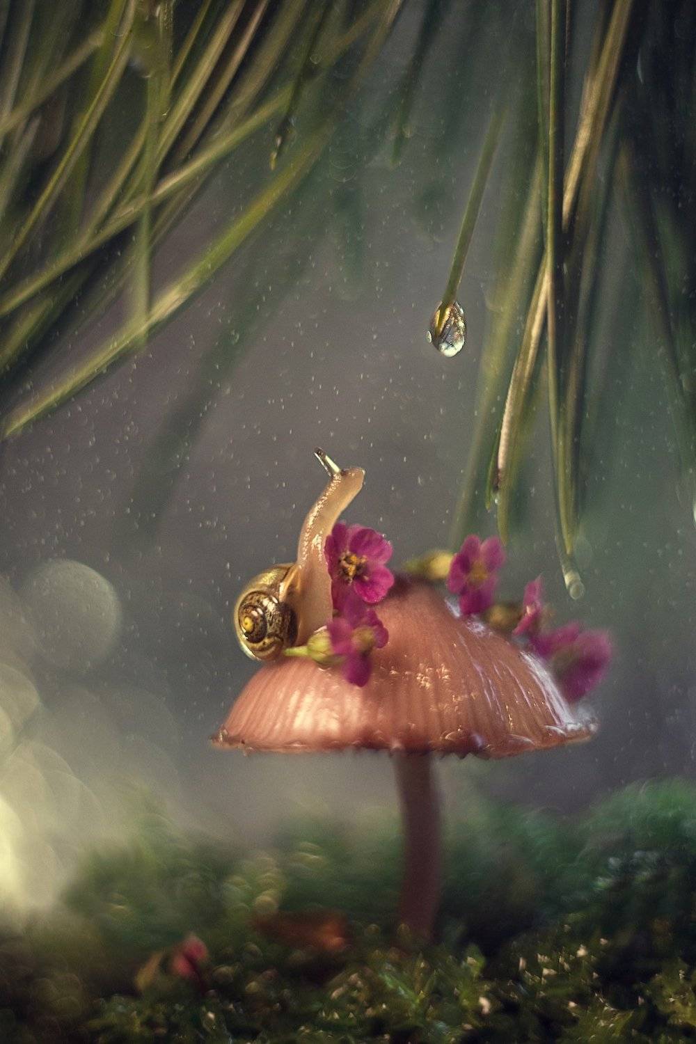 , Екатерина Науменко