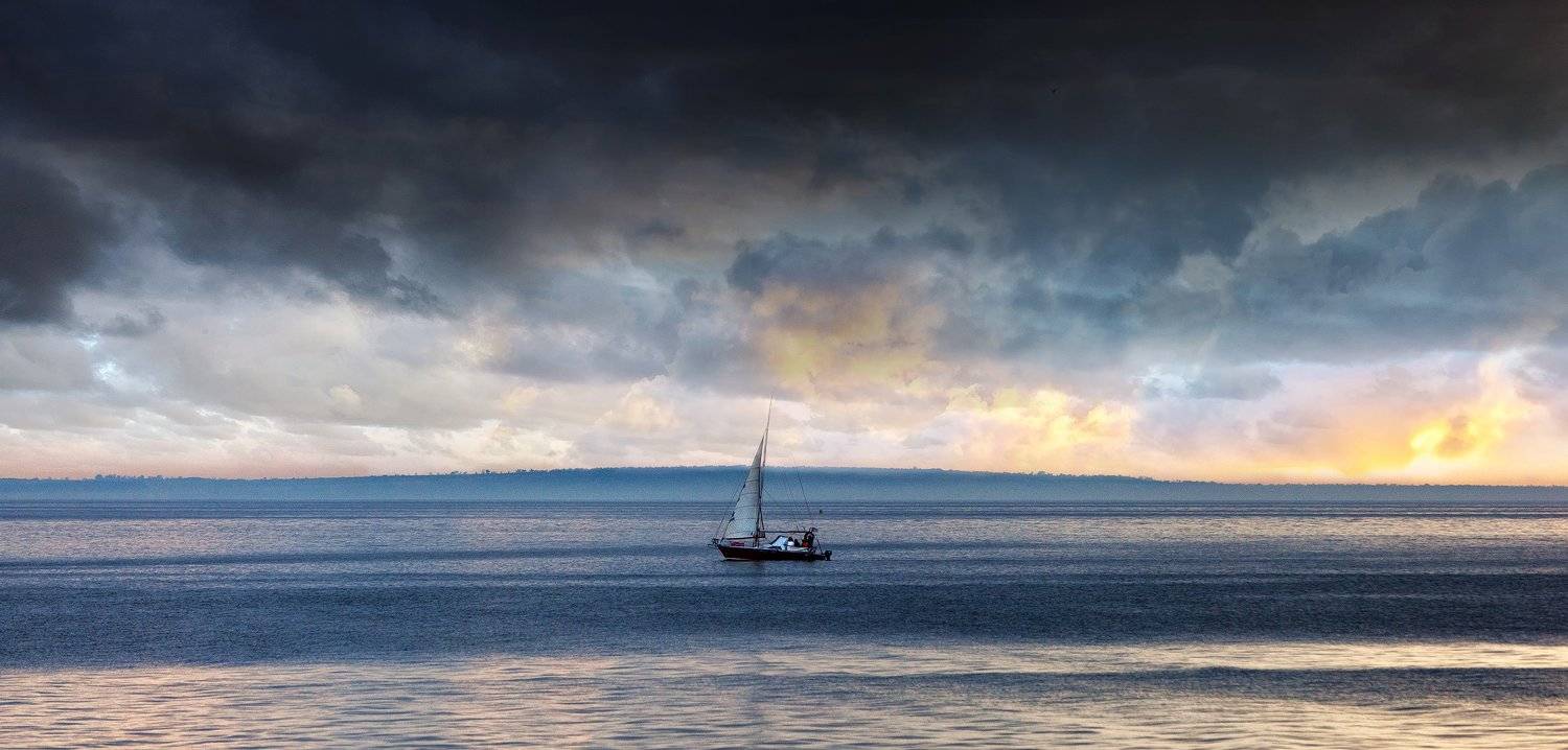 , Никита Сердечный