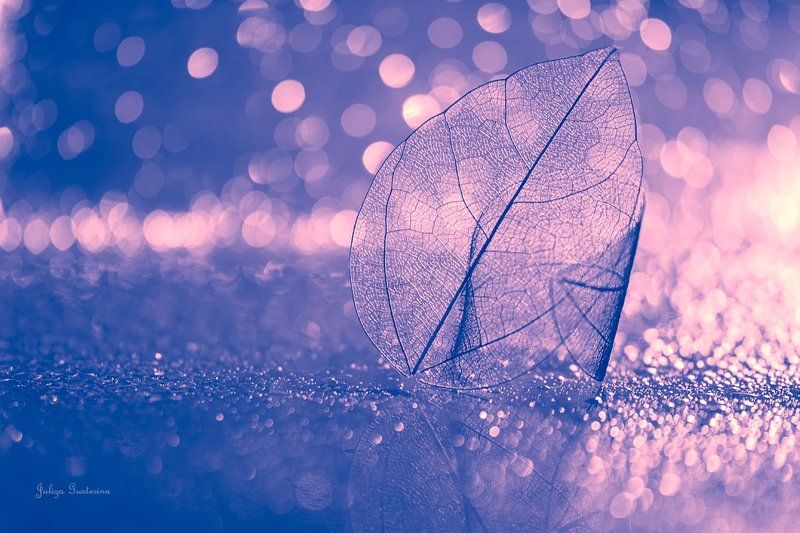 Про парусник,лодочку и пробирки фото превью