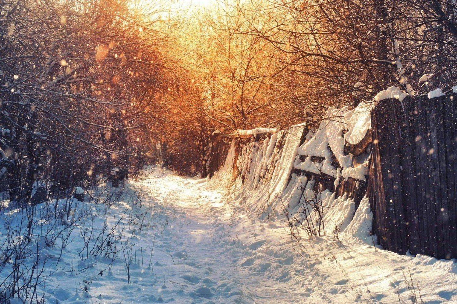 , Mihalych