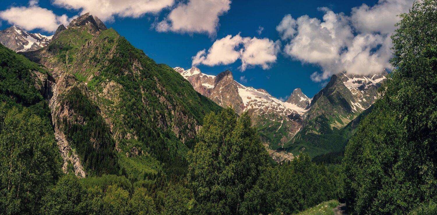 , Игорь Мелекесцев