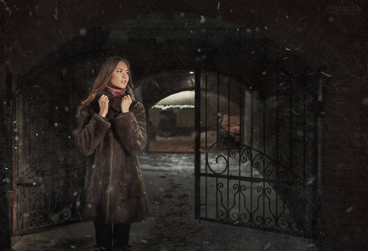 , Сергей Сотников