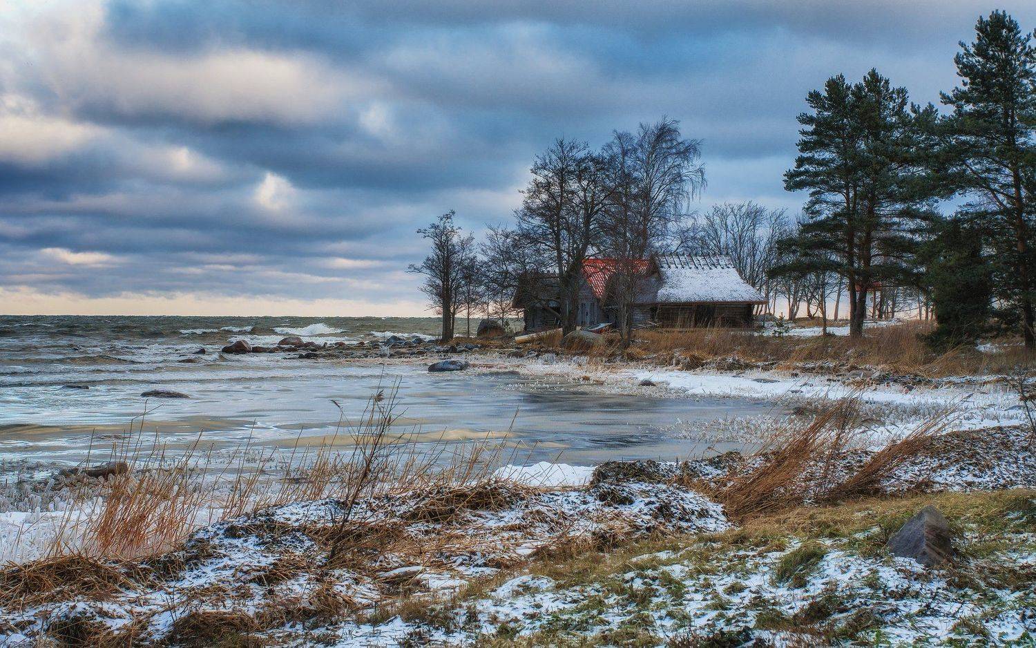 балтика, балтийское, море, море, зима, эстония, финский, залив, деревня, ветер, мороз, Сергей Давыдов