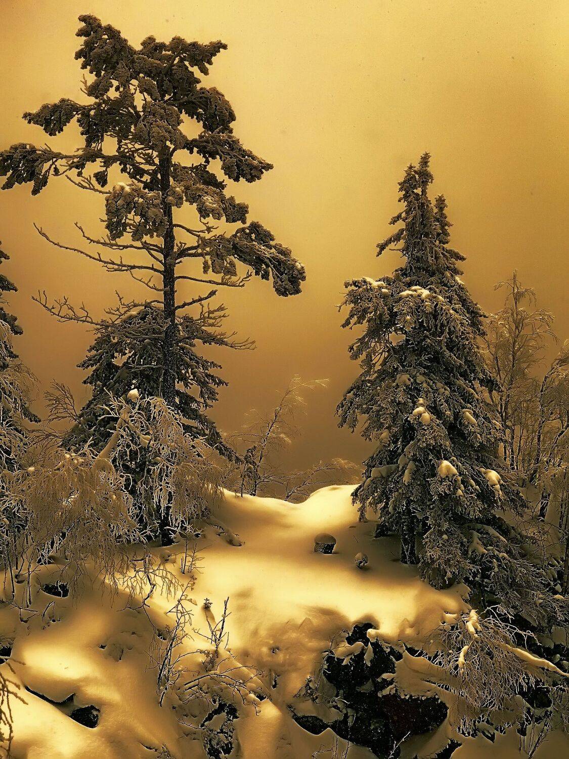 , Сергей Евдокимов