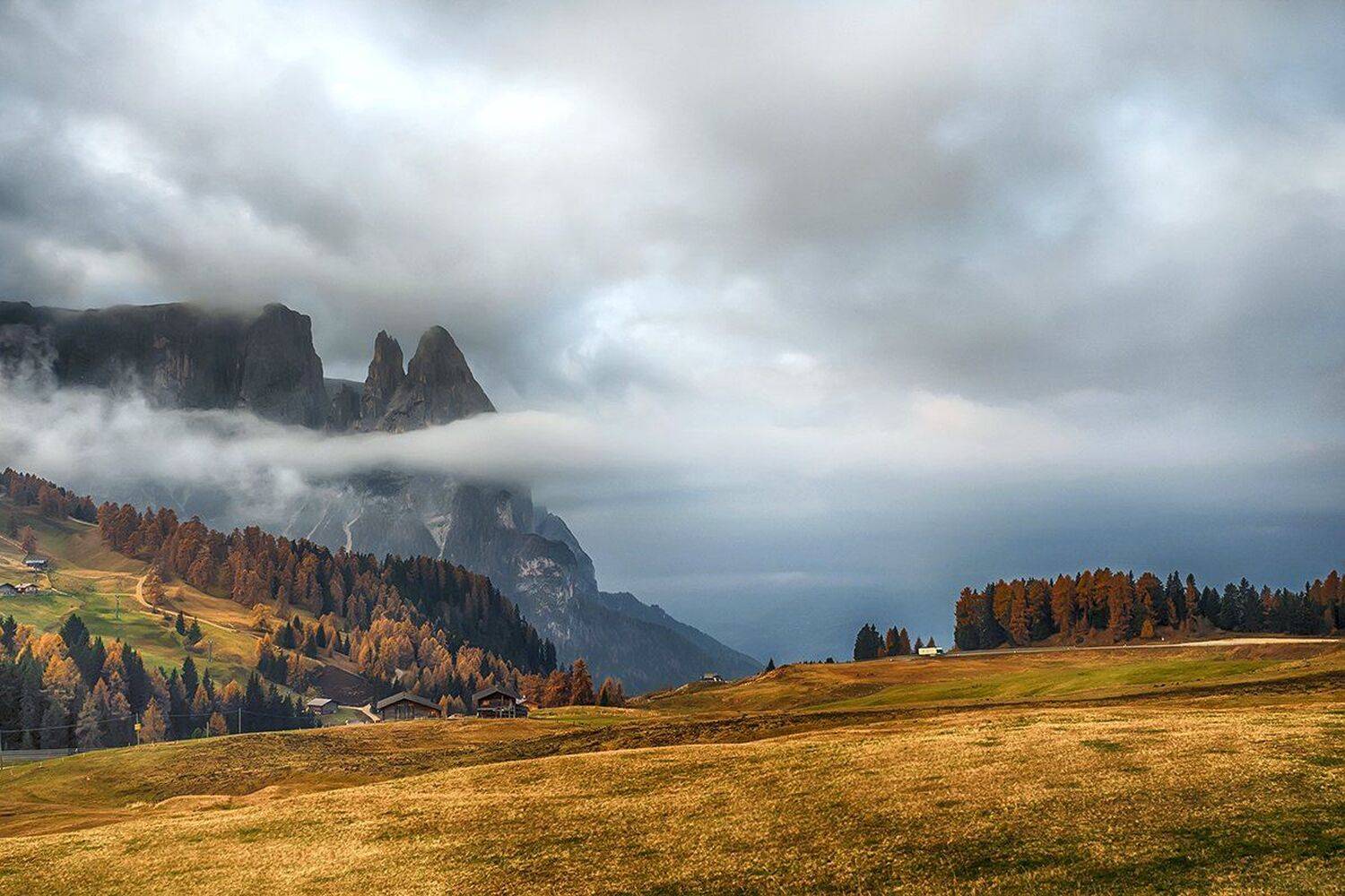 , Игорь Дубровский