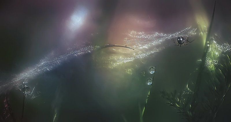 ..лето.. ...летний сон.. фото превью