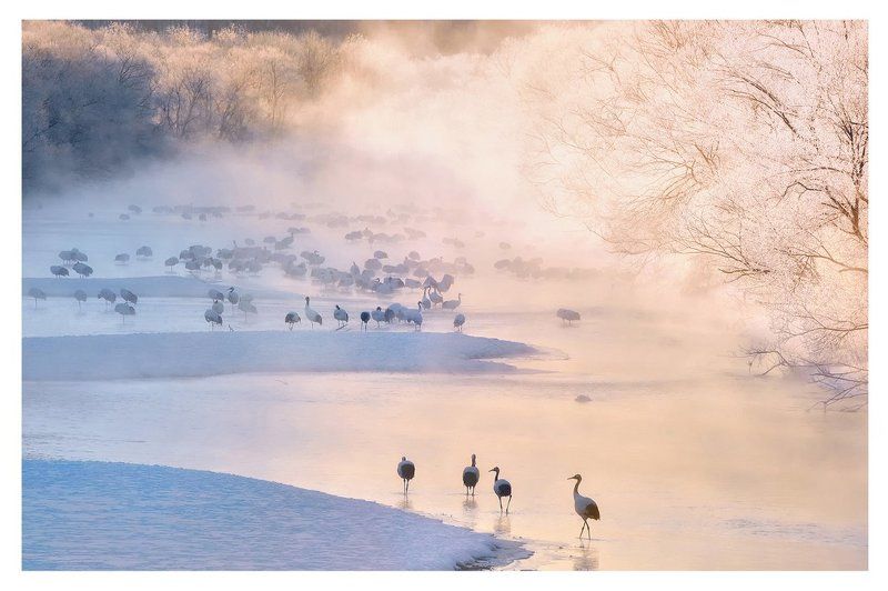 Village of crane