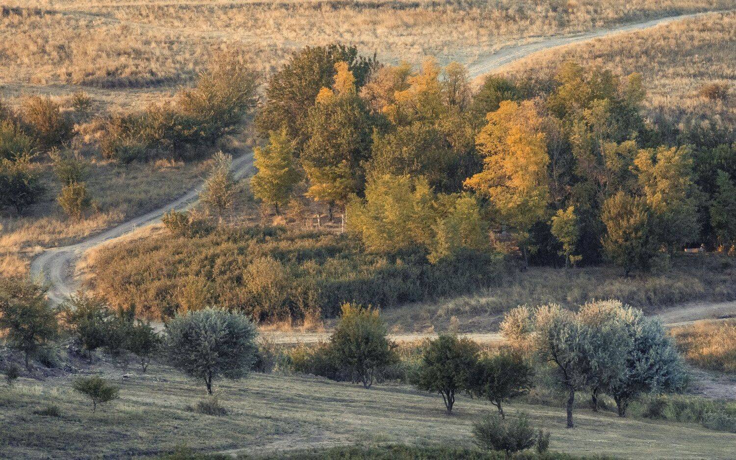 , Юрий Пужалин