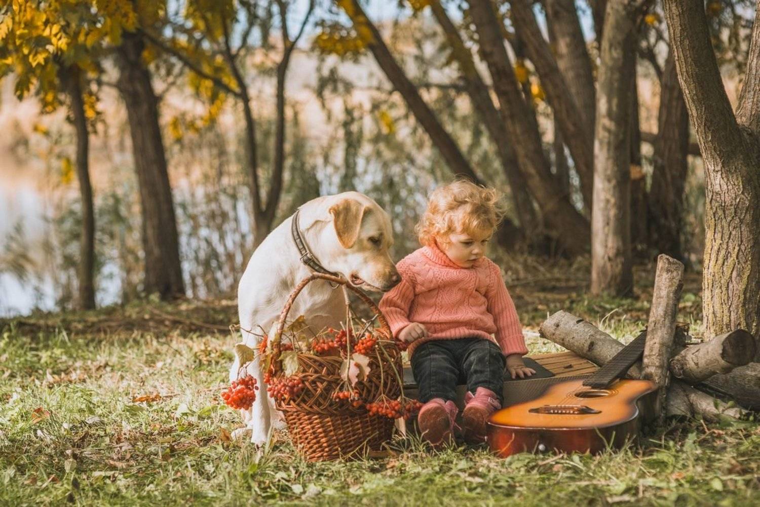 , Алексей Яковлев