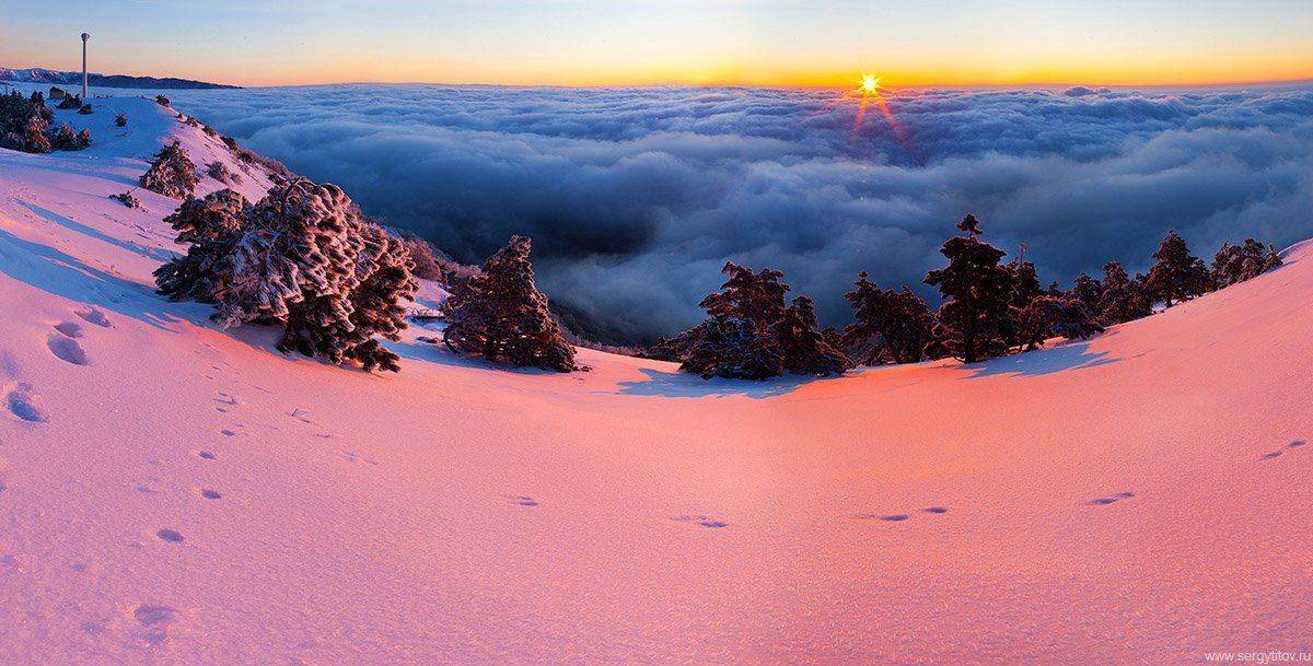 крым, ялта, ай-петри, зима, снег, мороз, туман, солнце, море, дерево, фотограф ялта, фотограф крым, яйла, зима ай-петри, Serge Titov