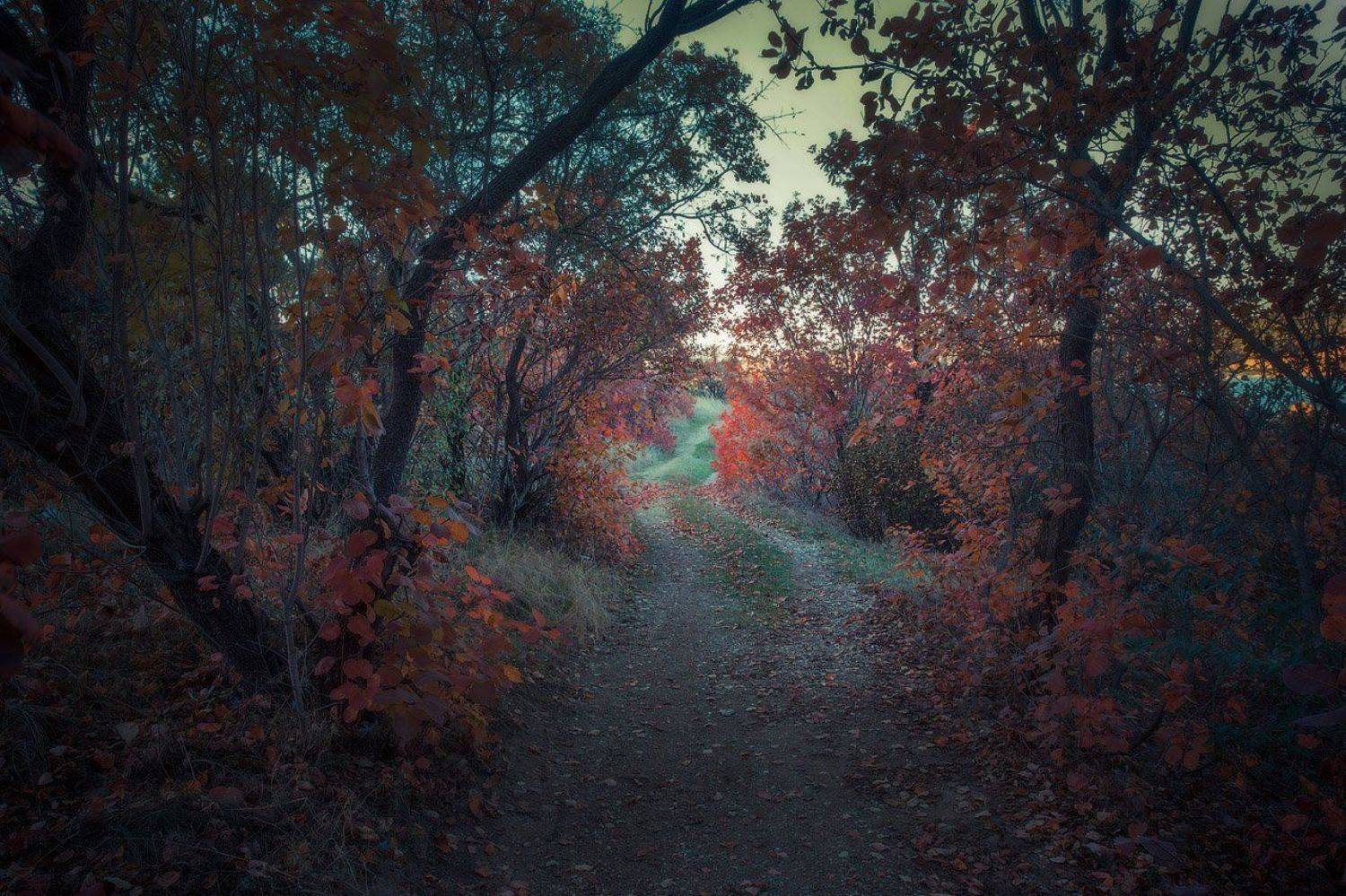 , Александр Аседач