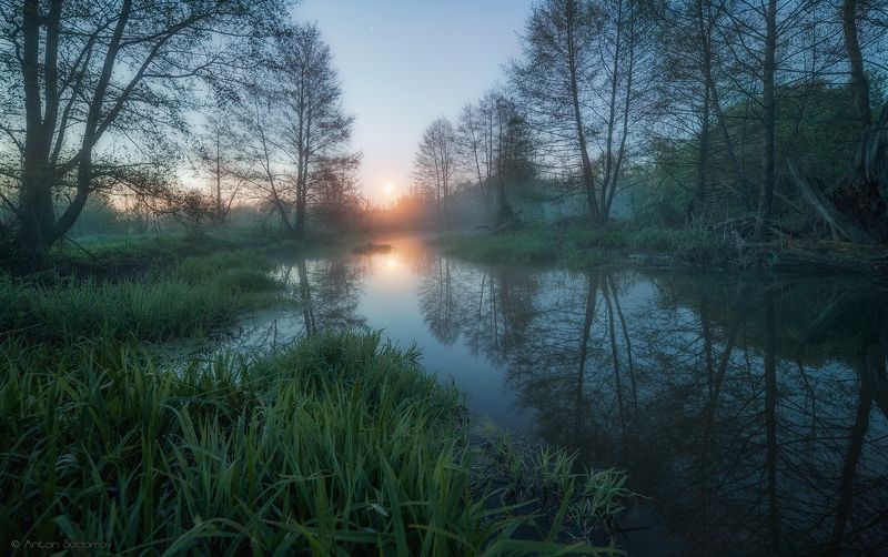 пейзаж, рассвет, лес, река, вода, деревья, татищево, долга, саратов Рассвет на Идолге фото превью