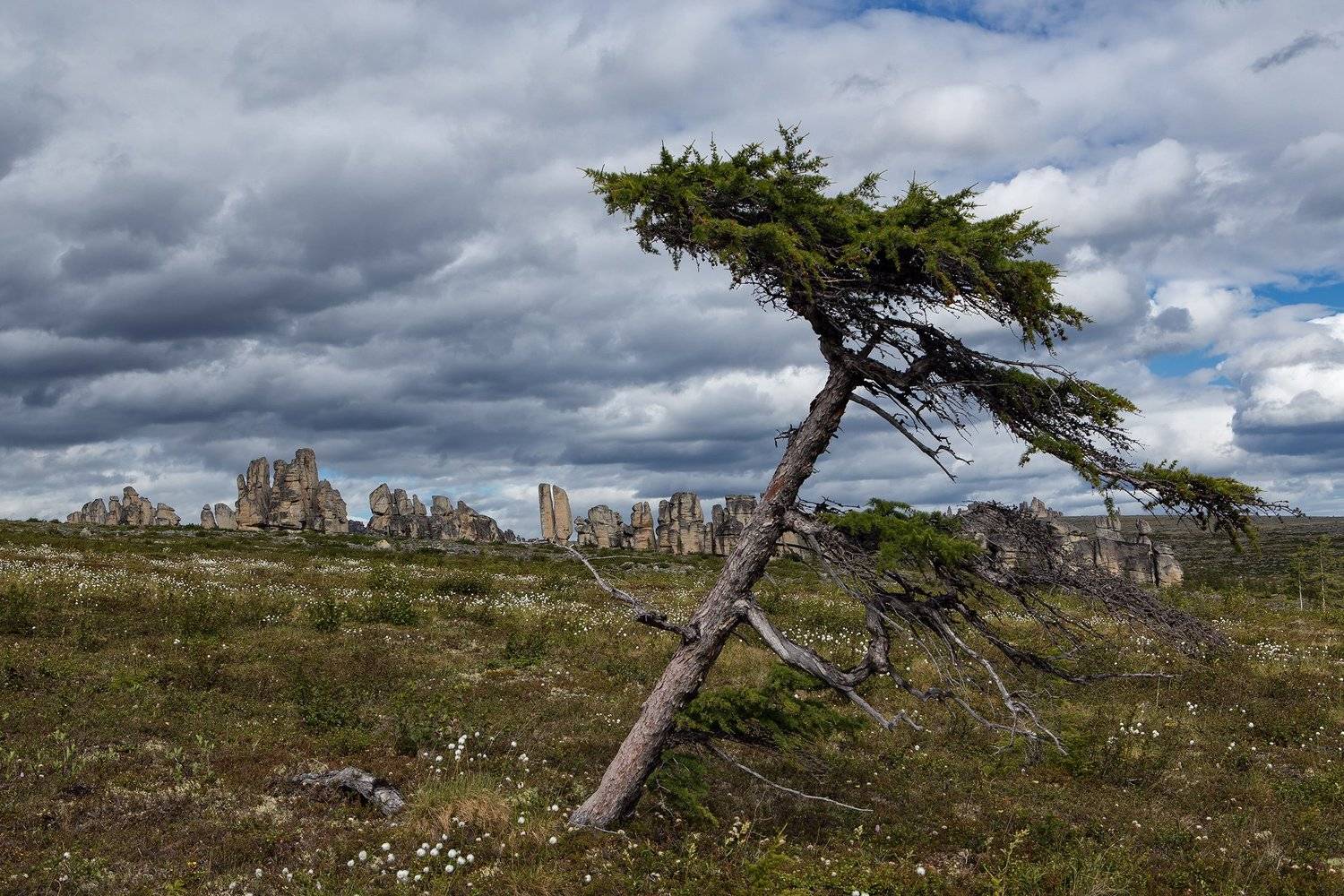 якутия, улахан-сис, заполярье, останцы, Сергей Карпухин