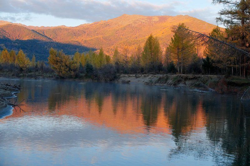 горная река, джазатор, вода, склоны, лиственницы, отражения, горы, горный алтай Pro розовые склоны и их отражения фото превью