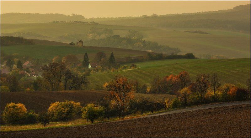 Утро туманное....утро..... фото превью