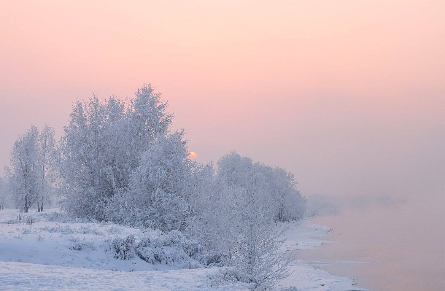 , Лещёнок Александр