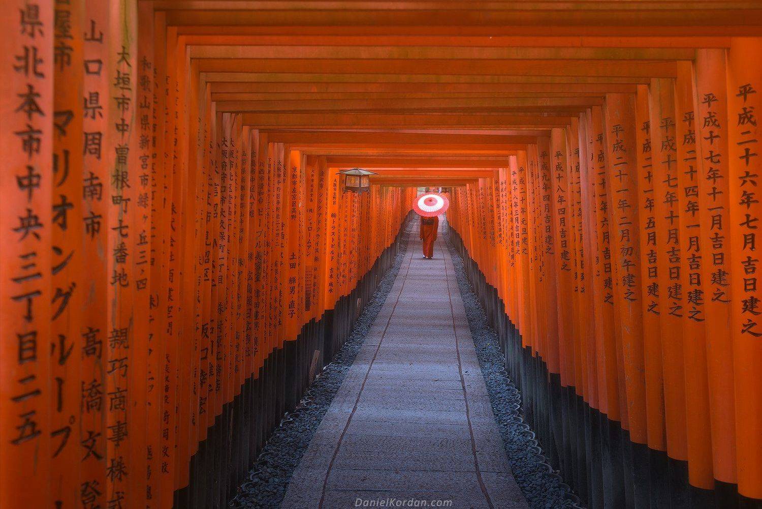 Япония, Даниил Коржонов