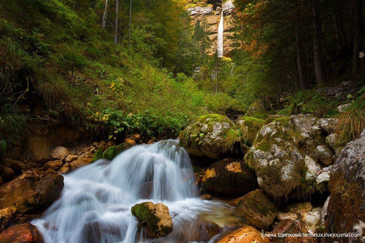 , Щипкова Елена