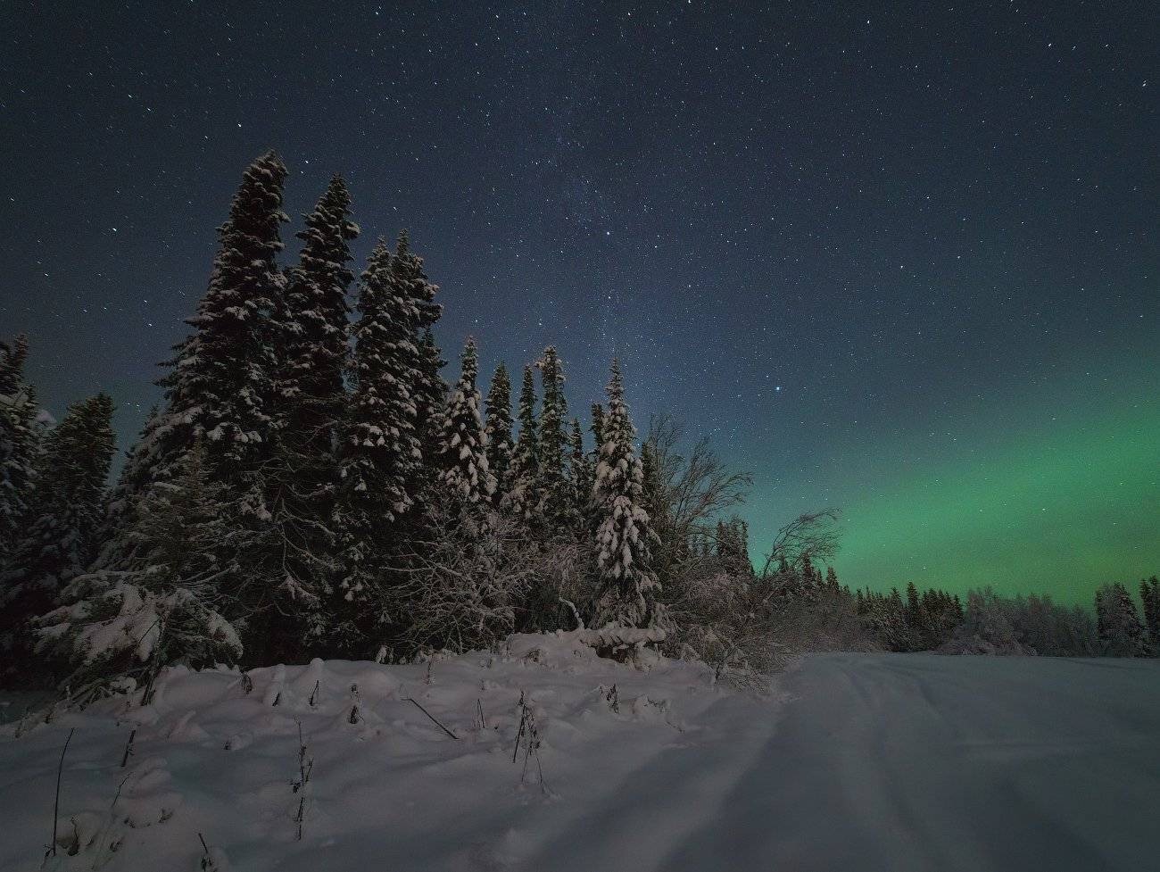 печора,коми,север,ноябрь,снег, Игорь Подобаев