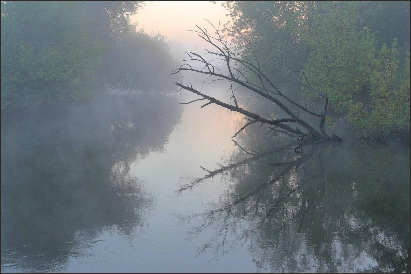 , Михаил (mgk)