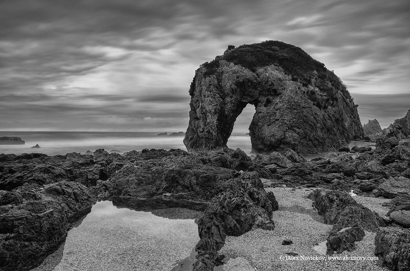 seascape, australia, monochrome  Ход конём фото превью