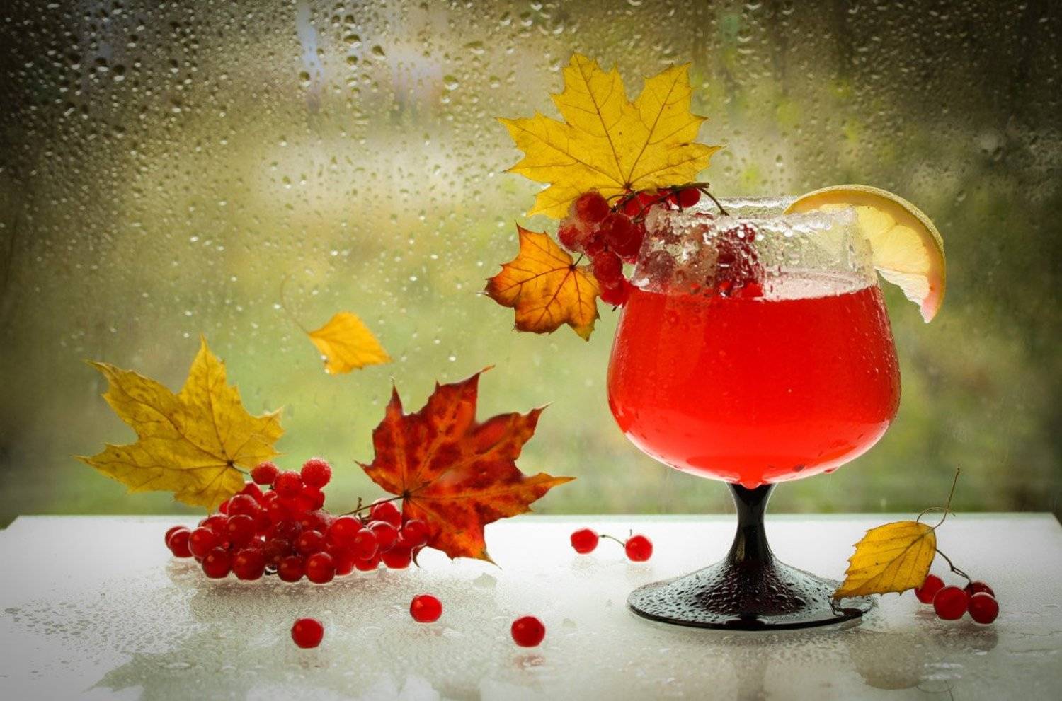 калина, морс, ягоды, листья, осень, Шруб (Беляева) Татьяна