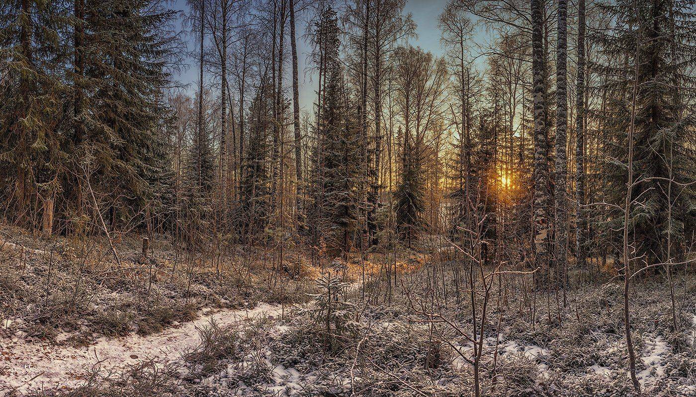 , Олег Авдеев