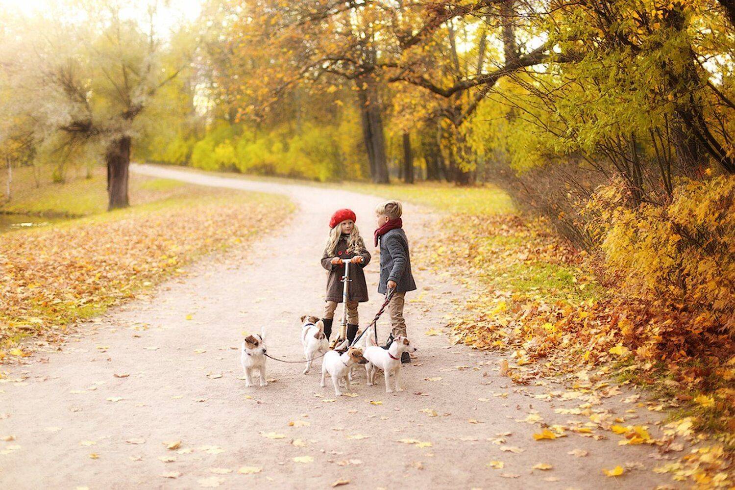 , Ольга Киреева