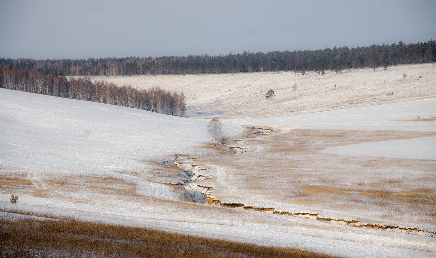 , Николай Морский
