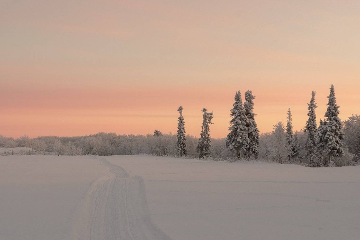 печора,коми,север,декабрь,закат, Игорь Подобаев