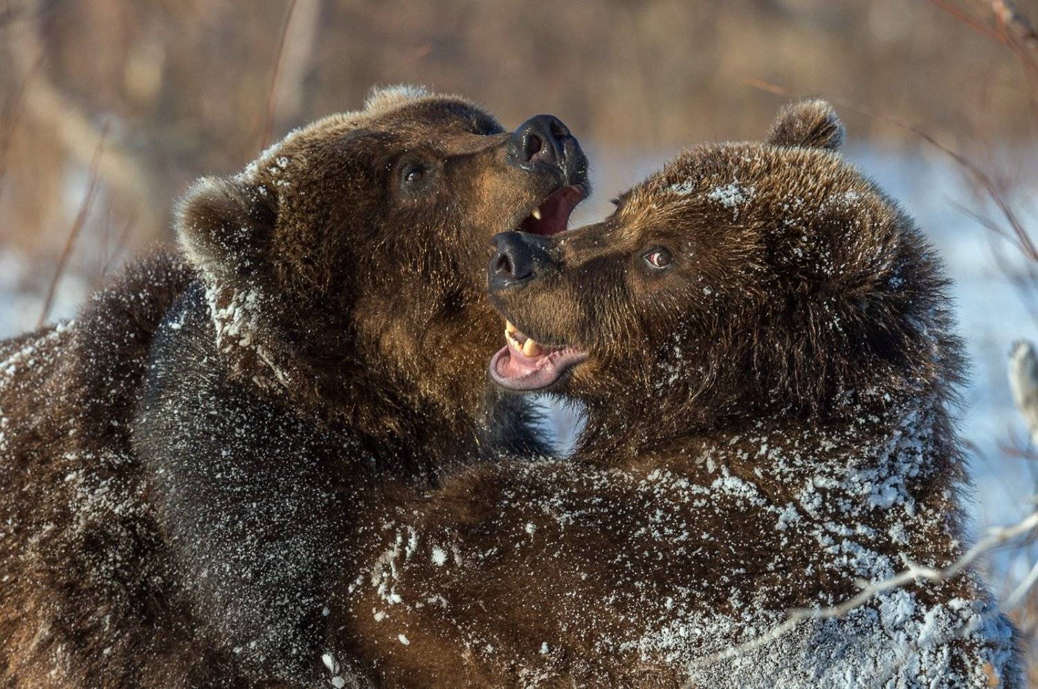 , Сергей Иванов