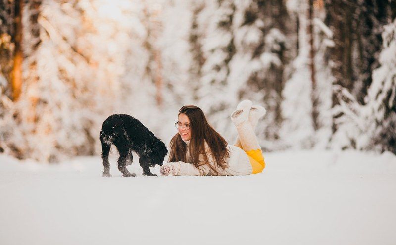 Зима, Лес, Снег, Собака Первый день зимыphoto preview