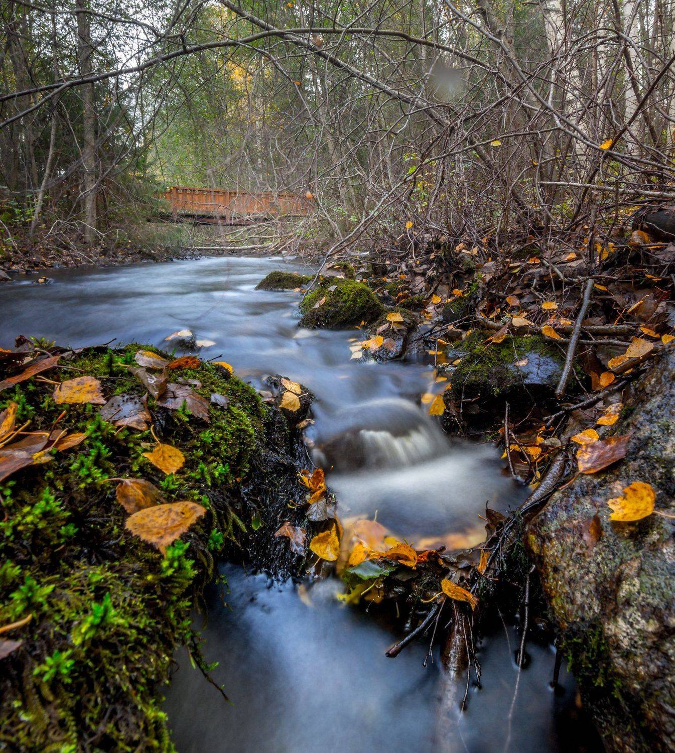 природа, карелия, осень, вода, рука, длинная выдержка, листья, Михаил Проскалов