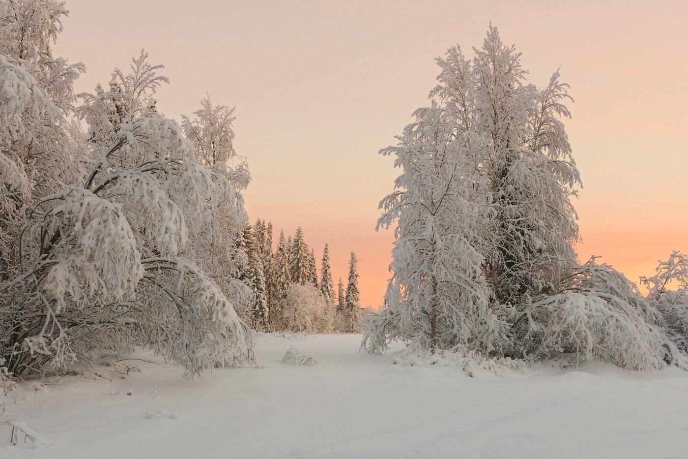 печора,коми,север,декабрь,закат, Игорь Подобаев