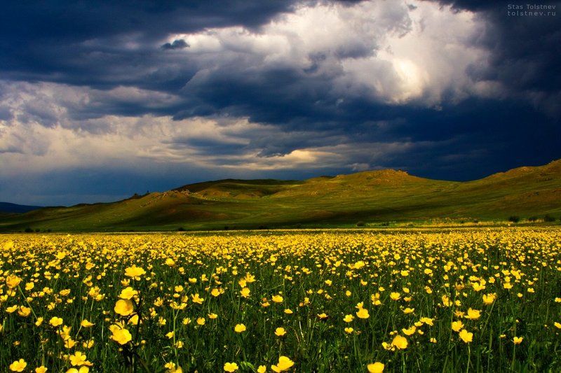 Тугнуйская долина в Бурятии. фото превью