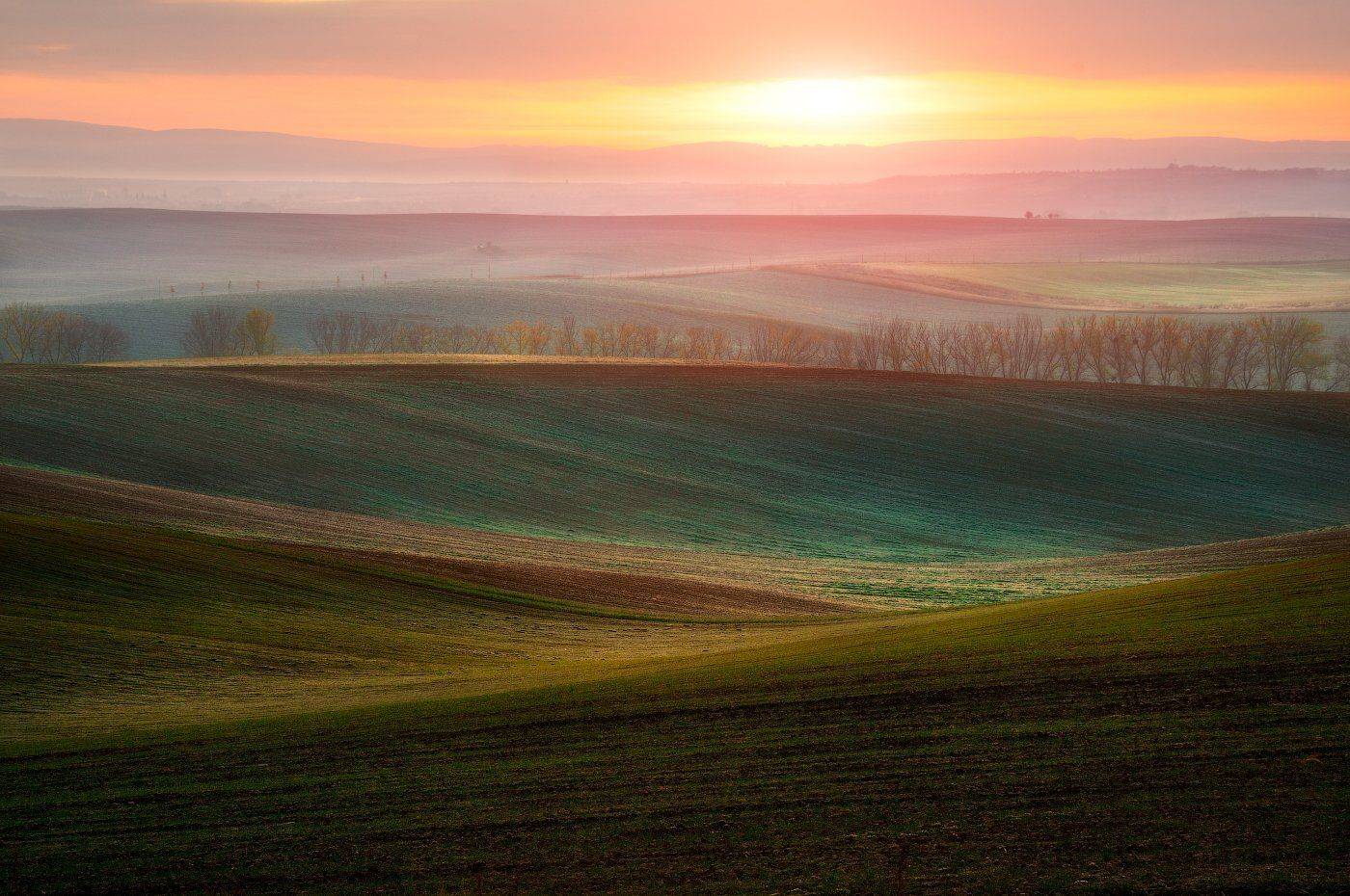 Моравия, восход, волны, поля, солнце,, Cтанислав Малых