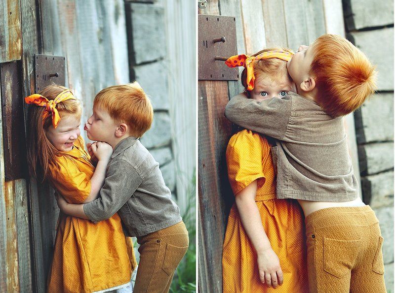 Рыжики фото превью