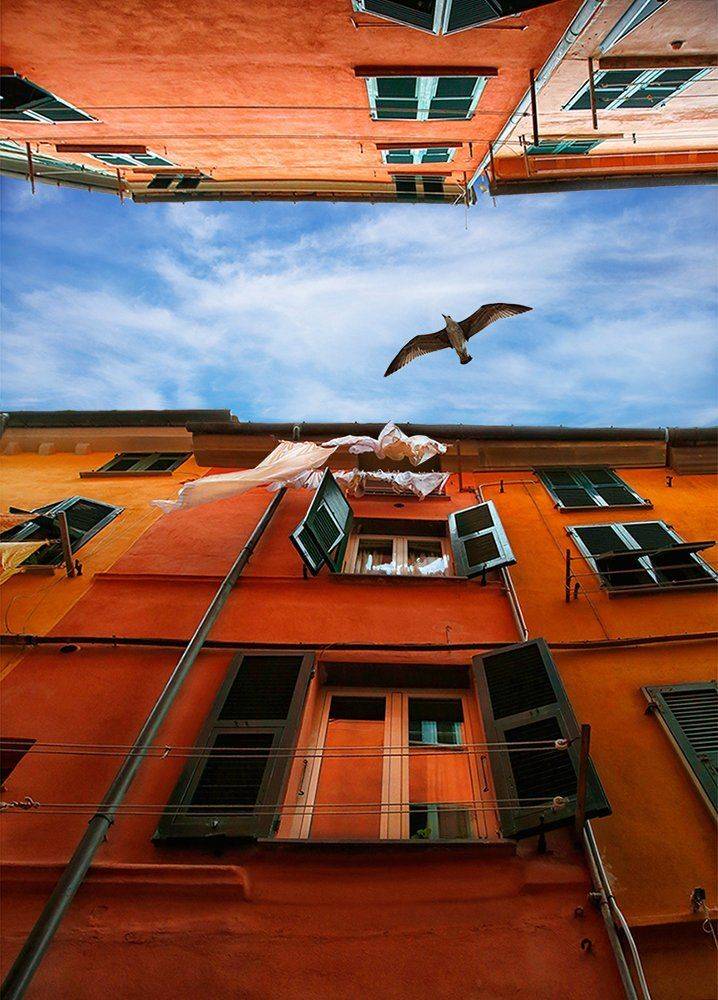 портовенера, италия, чайка, улица, дома, бельё, чинкветер, ALLA SOKOLOVA